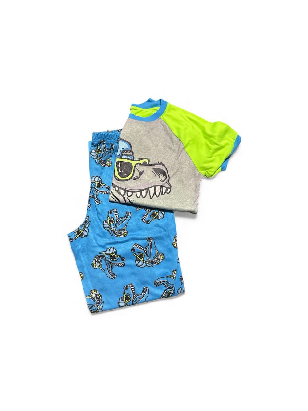 Boys Size XL (14/16) Jellifish Brand Dinosaur Pajamas